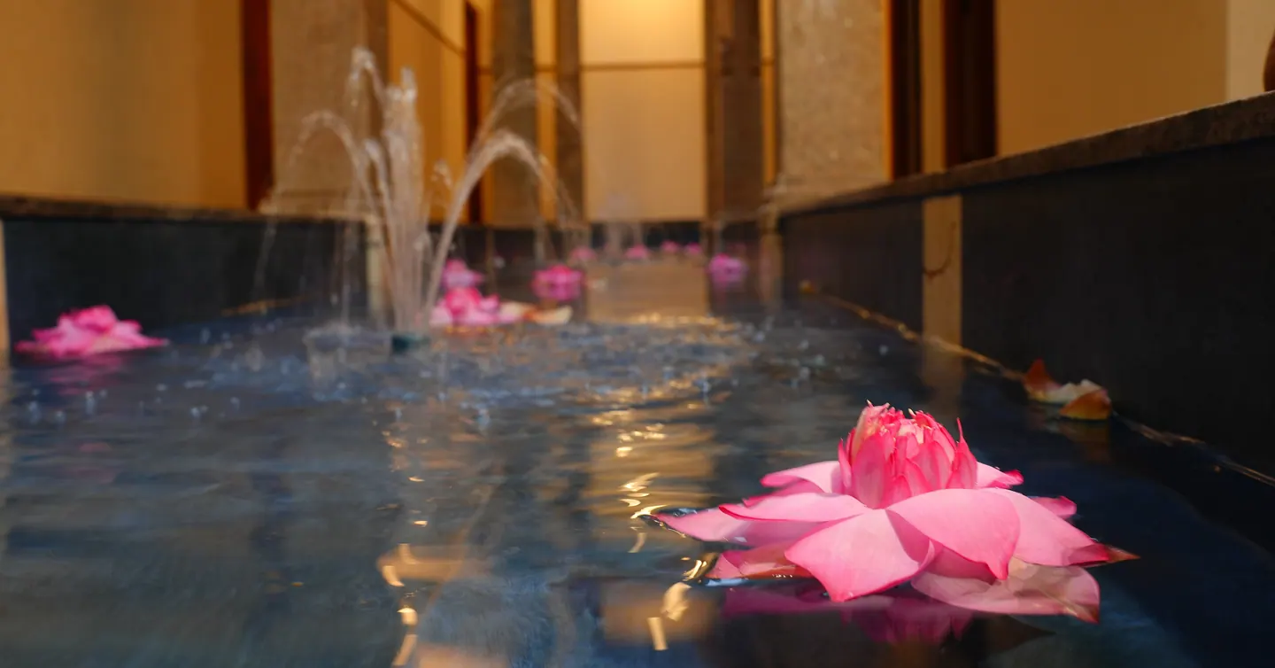 Pink lotus floating in the water courtyard at Aranya Thanjavur